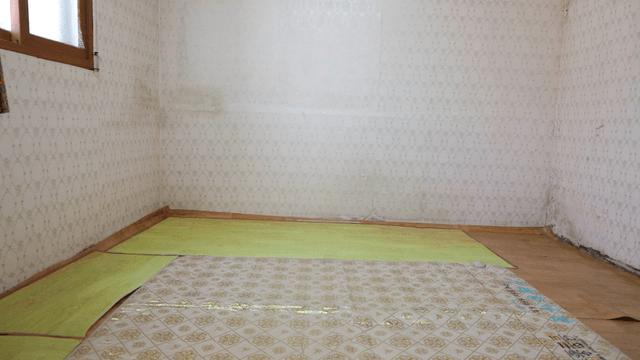 Empty contryside room with patterned wallpaper