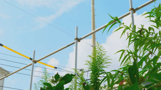 Clear sky above metal structure and greenery