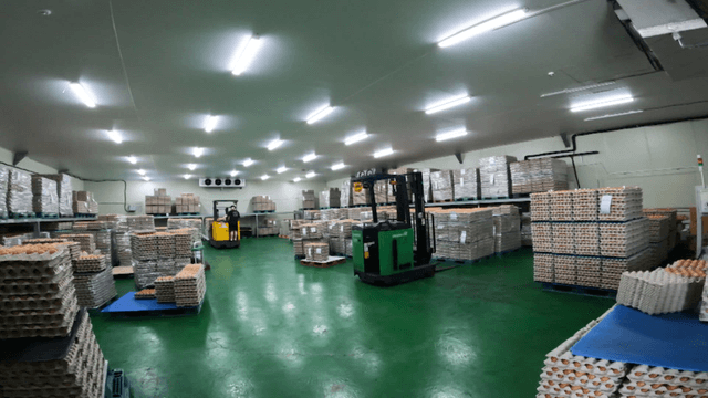 Storage room filled with stacked eggs