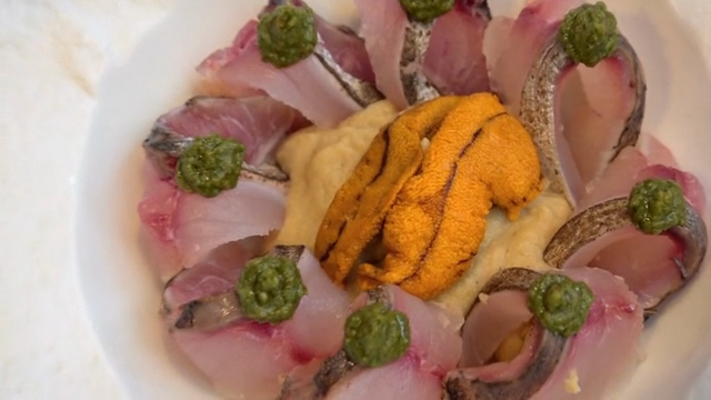 Sea urchin roe on puree surrounded by sliced raw mackerel