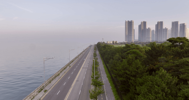 Coastal road with skyscrapers and trees