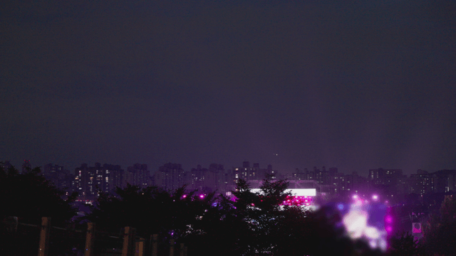 Vibrant concert city night view beyond the trees