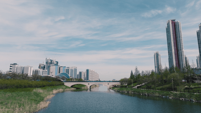 Calm lake park in modern cityscape