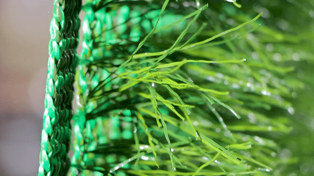 Dense and durable artificial turf