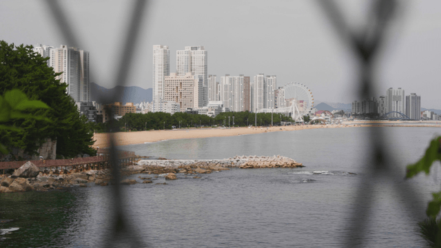 철망 넘어 보이는 고층 건물과 대관람차가 있는 해변 풍경
