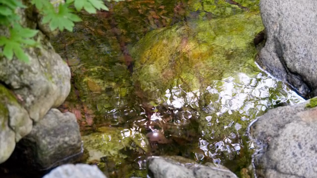 Clear water flowing over rocks
