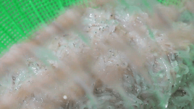 Fresh ice fish washed and placed in strainer