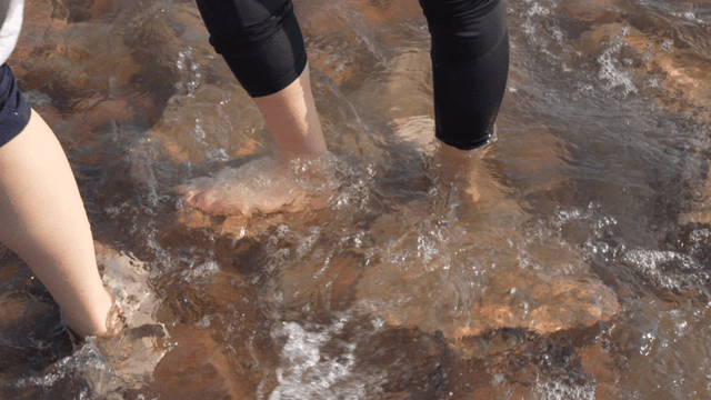People walking on rocks in shallow water
