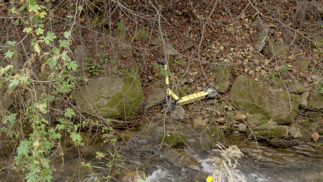 Streamside with an abandoned scooter