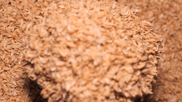 Tray filled with chaff