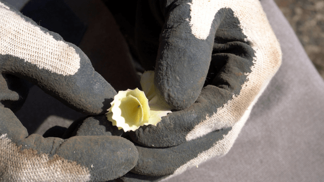 Hand touching wooden pencil shavings