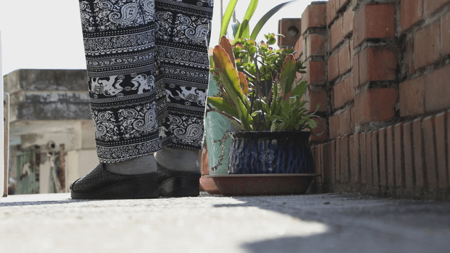 Person standing near potted plants on a sunny day