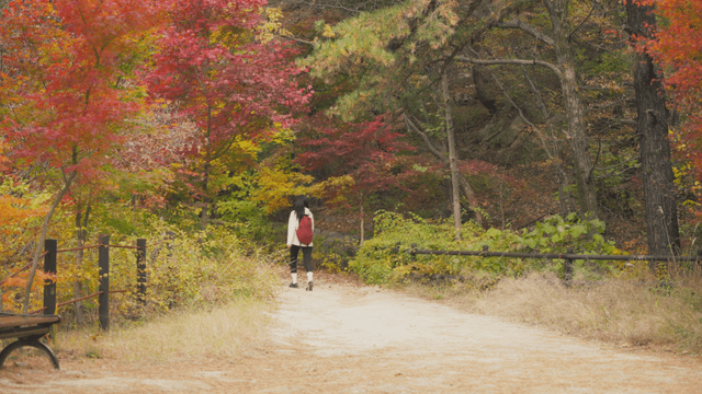Long-haired woman hiking on autumn trail covered with fallen leaves