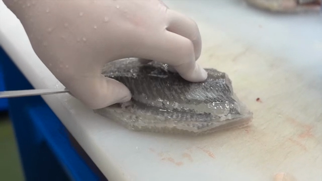 Fish being filleted on a cutting board