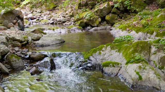A tranquil stream flowing through rocks