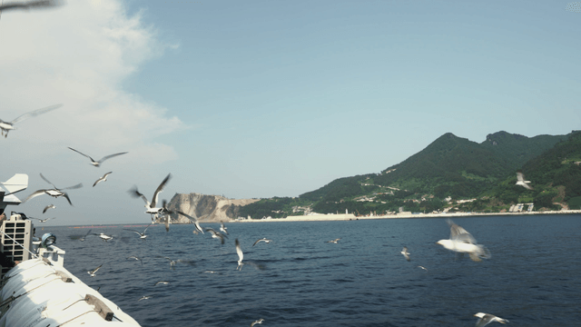 Seagulls flying over the ocean near a mountain