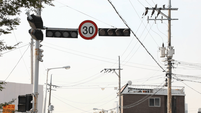 Traffic light and power lines in the city
