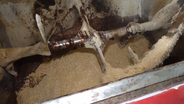 Mixing machine processing grain mixture