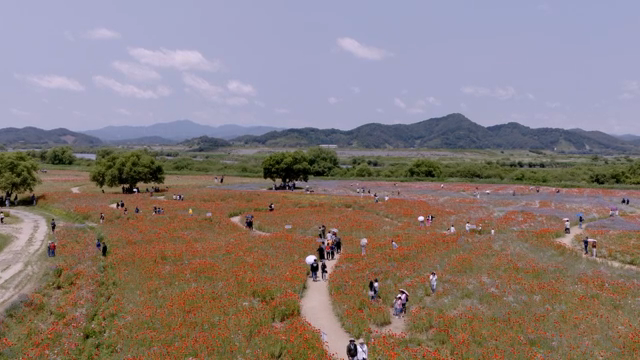 방문객이 있는 화려한 꽃밭