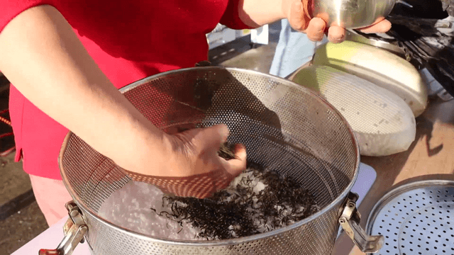 Placing green tea leaves on salt