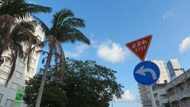 Palm trees and a Japanese stop sign under clear sky
