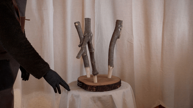 Wooden chair with uniquely inverted branch legs