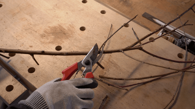 Pruning shears trimming branches on a wooden table