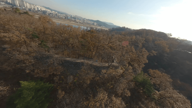 City fortress surrounded by trees