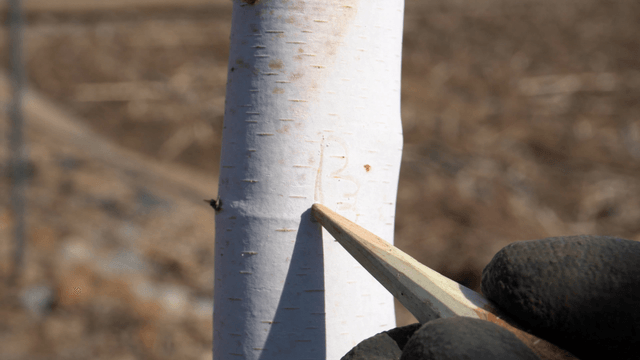 Hand writing on wood with pencil-shaped wooden stick