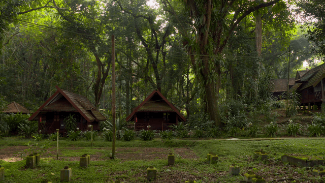 A serene forest with wooden cabins