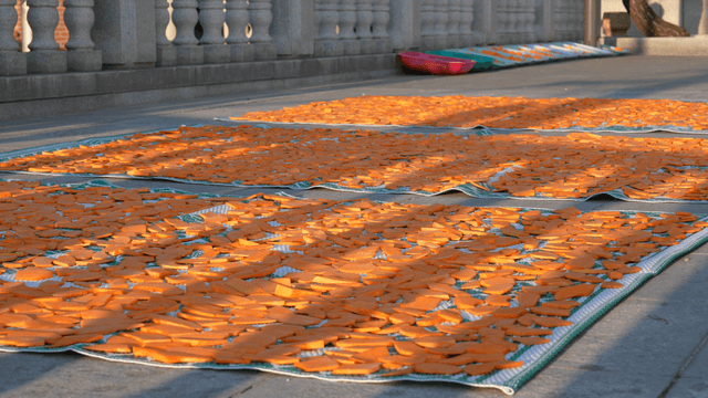 slices of persimmons drying in the sun