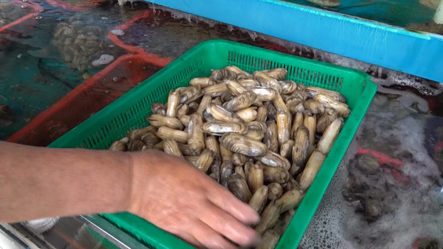 A hand sorting shellfish in a water tank