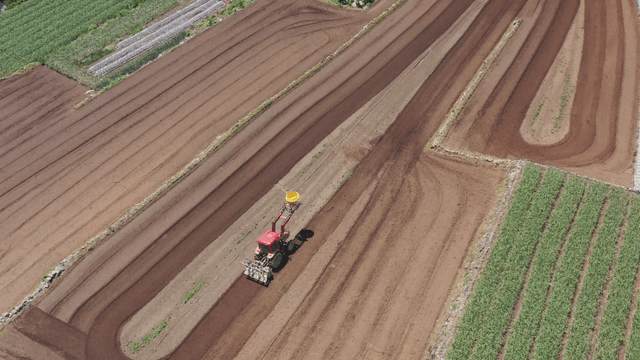 Tractor working on a large farmland