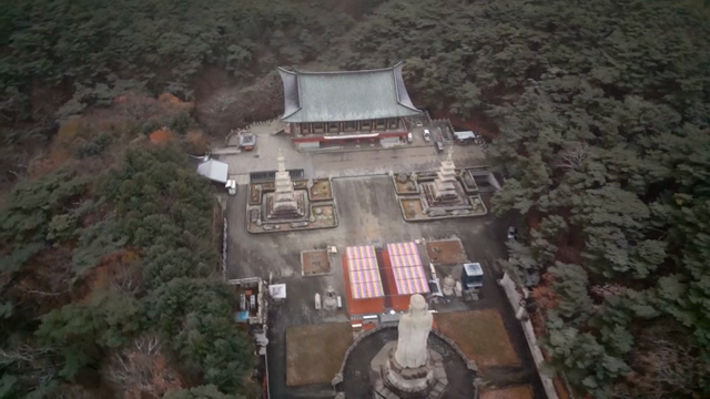 Temple surrounded by dense forest
