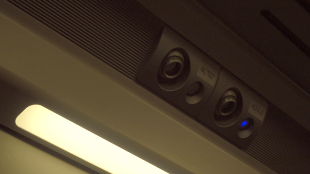 Ceiling panel and reading light in train