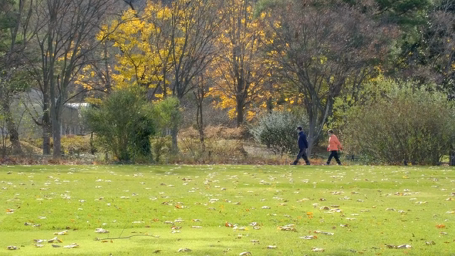 People walking in a park with autumn trees