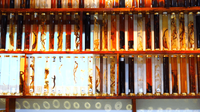 Displayed Old Infusion Liquors
