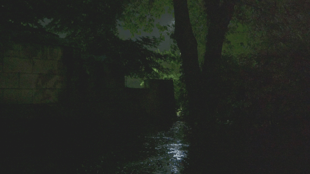 Heavy rain falling on dark forest path at night