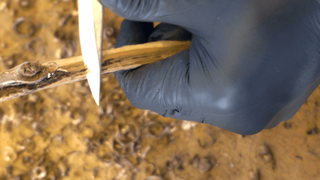 Person carving a wooden stick