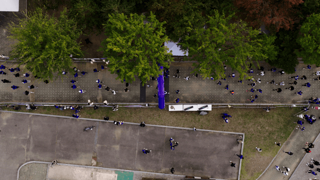 나무가 늘어선 길을 뛰어가는 마라톤을 뛰는 사람들