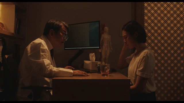 Doctor consulting a patient in a clinic