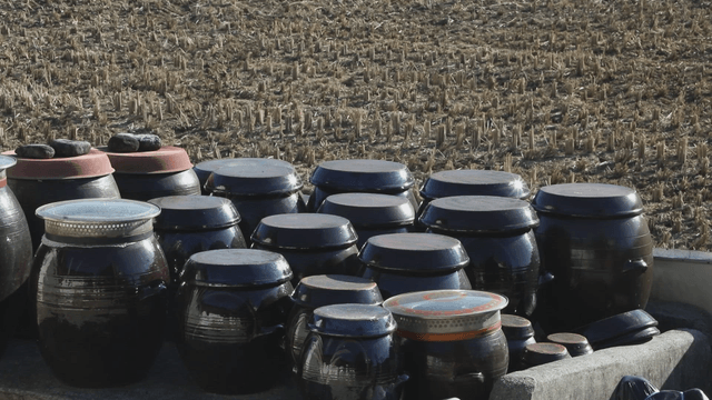 Traditional Korean jars in a rural field