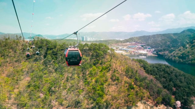 Cable cars over a scenic forest landscape