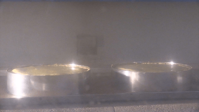 치즈케이크가 오븐에 구워지는 과정