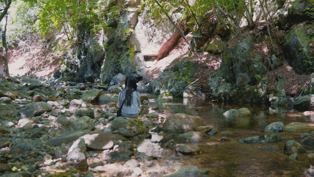 Calm streamside with a seated woman