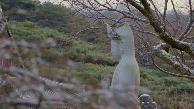 Serene statue in a tranquil forest