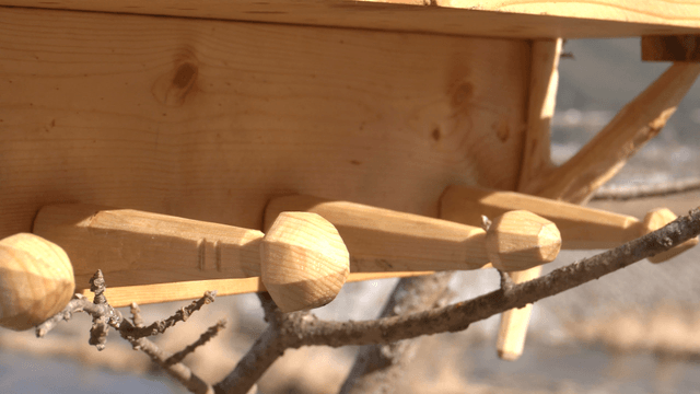 Wooden shelf stand on tree branches