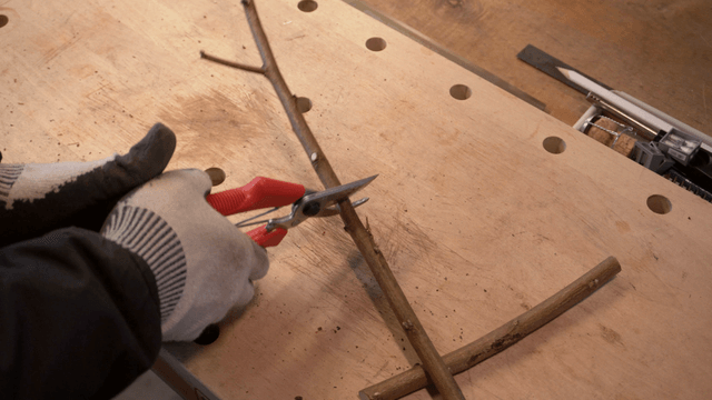 Pruning shears cutting eggplant pieces on workbench