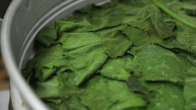 Fresh pumpkin leaves steamed in a steamer