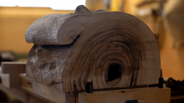 Wood piece with distinct tree rings in workshop